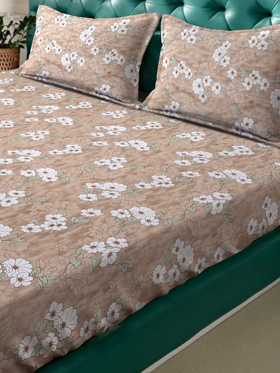 Klotthe Beige Floral 400 TC Pure Cotton Fitted Double Bedsheet with 2 Pillow Covers